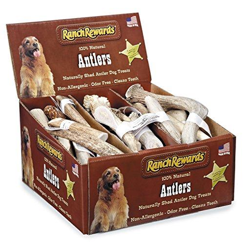 Algopix Similar Product 15 - Ranch Rewards 36Piece Deer Antler