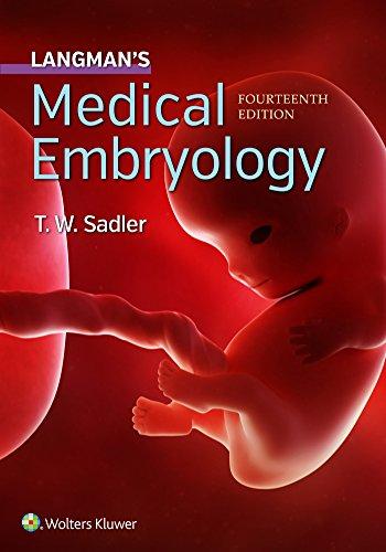 Algopix Similar Product 8 - Langman's Medical Embryology