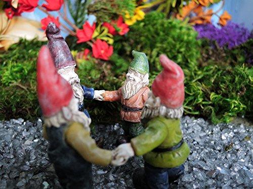 Algopix Similar Product 12 - Miniature Fairy Garden Gnome Friends
