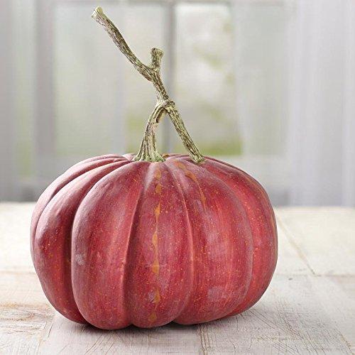 Algopix Similar Product 16 - Factory Direct Craft Artificial