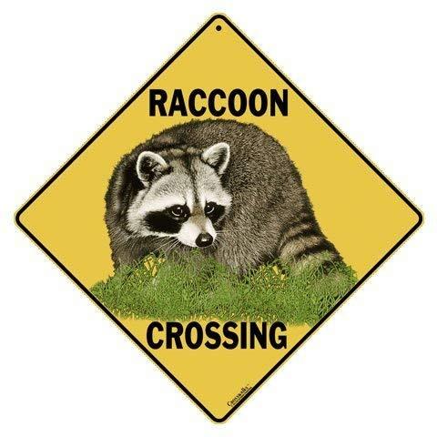 Algopix Similar Product 2 - CROSSWALKS Raccoon Crossing 12 X 12