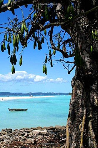 Algopix Similar Product 1 - Nosy Iranja Beach in Madagascar