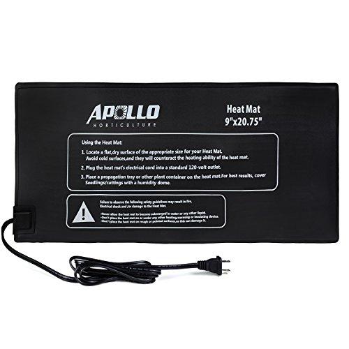 Algopix Similar Product 20 - Apollo Horticulture 9x20 Seedling