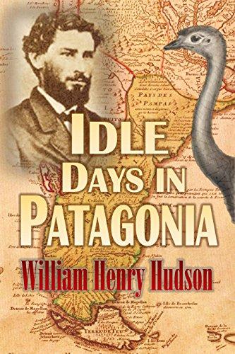 Algopix Similar Product 3 - Idle Days in  Patagonia (1893)