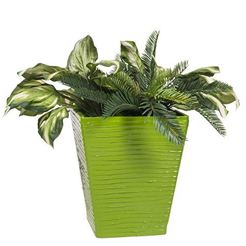 Algopix Similar Product 19 - 