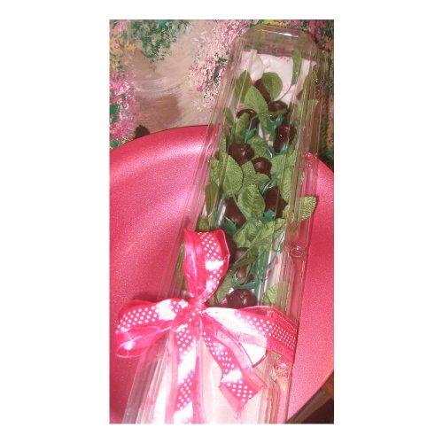 Algopix Similar Product 7 - ONE DOZEN LONG STEM CHOCOLATE ROSES
