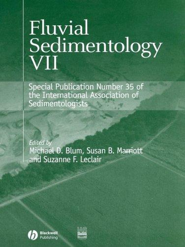 Algopix Similar Product 19 - Fluvial Sedimentology VII