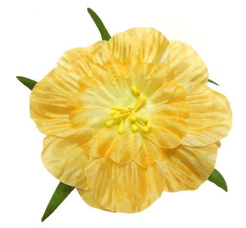 Algopix Similar Product 6 - Cuteque International 6Pack Apricot