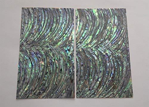 Algopix Similar Product 20 - PAUA RIM Sword abalone shell inlay