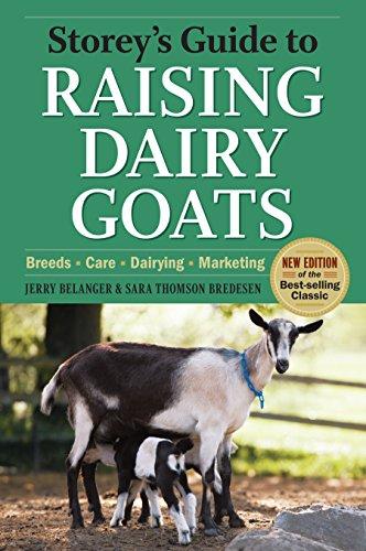 Algopix Similar Product 18 - Storeys Guide to Raising Dairy Goats