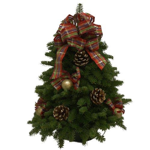 Algopix Similar Product 1 - Worcester Wreath 18Inch Jeweled Ribbon