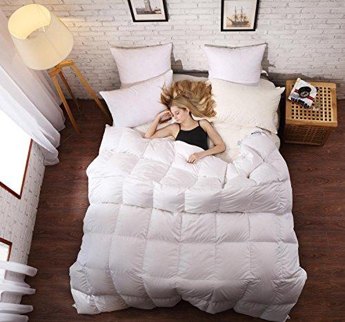 Algopix Similar Product 18 - SLEEP RHYTHM Luxurious Goose Down