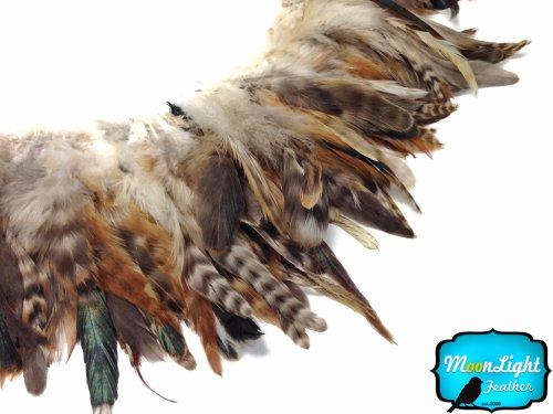 Algopix Similar Product 8 - Rooster Feathers Natural Black and