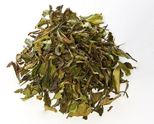 Algopix Similar Product 5 - Young Mountain Tea Organic Kumaon White