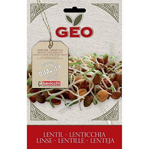 Algopix Similar Product 4 - Bavicchi Lentil Packet 90 Grams 