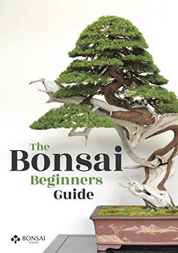 Algopix Similar Product 5 - Bonsai: The Beginners Guide