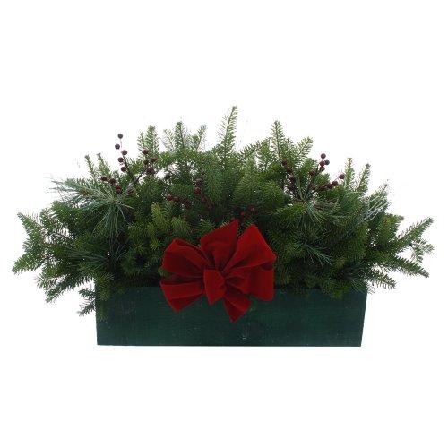 Algopix Similar Product 20 - Worcester Wreath Winter Window Box