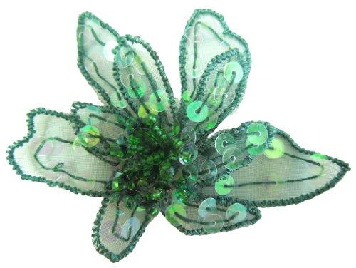 Algopix Similar Product 11 - Cuteque International 6Piece Organza