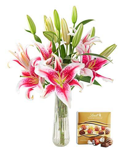 Algopix Similar Product 15 - KaBloom Sailors Sunset Bouquet of 5