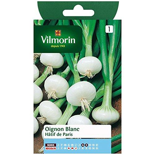 Algopix Similar Product 12 - Vilmorin - White onion hasty Paris