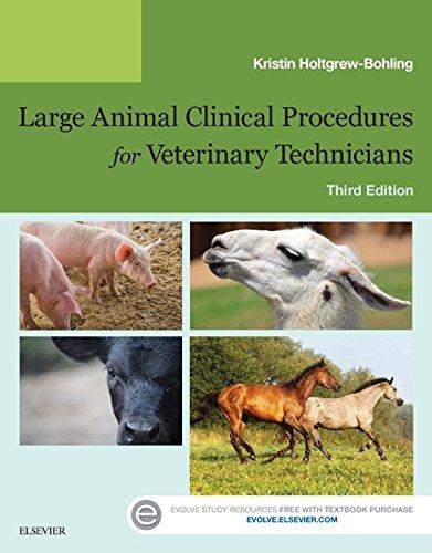 Algopix Similar Product 14 - Large Animal Clinical Procedures for