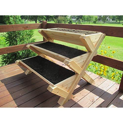 Algopix Similar Product 9 - Infinite Cedar Premium Quality