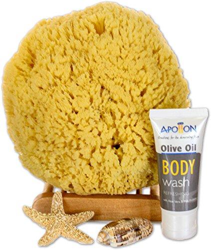 Algopix Similar Product 12 - SeaSationals8482 Natural Yellow Sea