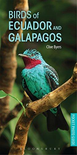 Algopix Similar Product 9 - Birds of Ecuador and Galapagos Pocket