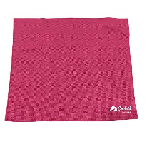 Algopix Similar Product 7 - Dog Cooling Bandanas