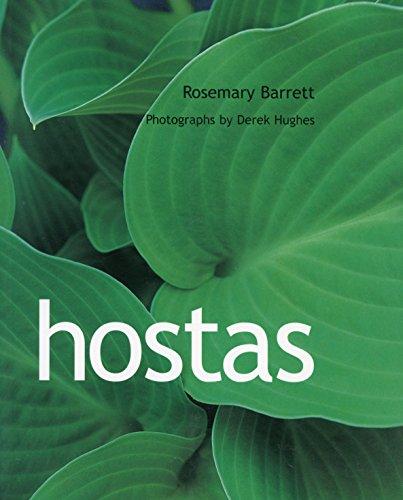 Algopix Similar Product 19 - Hostas