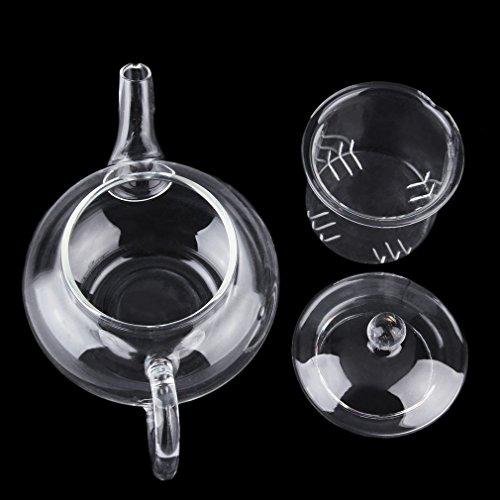 Algopix Similar Product 19 - Maexus Heat Resistan Glass Teapot With