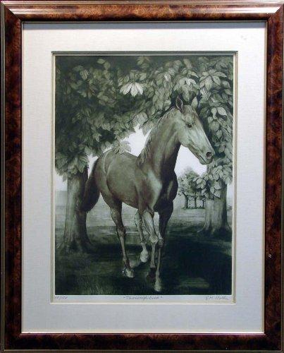 Algopix Similar Product 4 - Thoroughbred