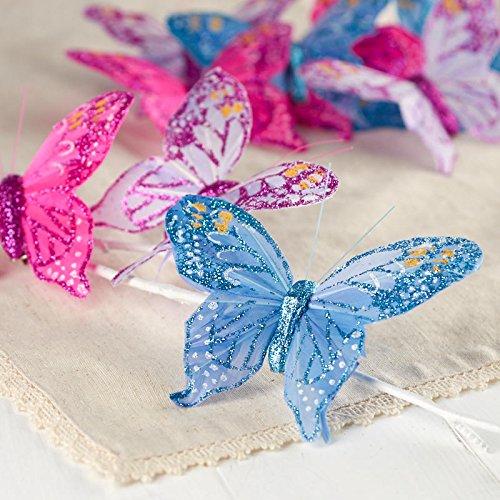 Algopix Similar Product 15 - Factory Direct Craft Assorted Color