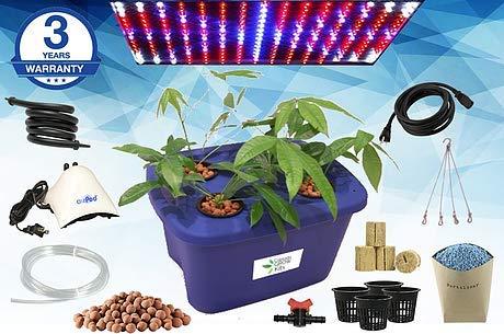 Algopix Similar Product 10 - 