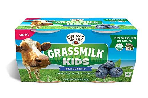 Algopix Similar Product 20 - Organic Valley Grassmilk Kids Whole