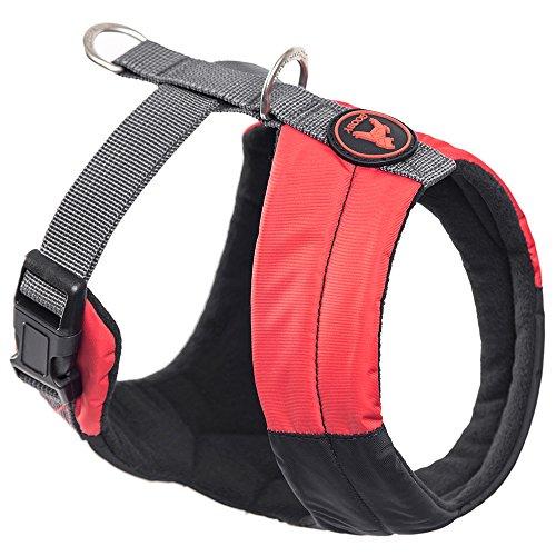 Algopix Similar Product 13 - 