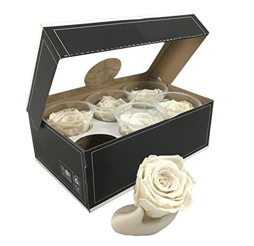 Algopix Similar Product 15 - KIKA DECO Preserved Roses Head Pack