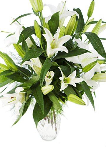 Algopix Similar Product 4 - Alluring 10 White Lilies Bouquet with