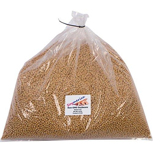 Algopix Similar Product 1 - Soymerica NonGMO Soybeans  28 Lbs