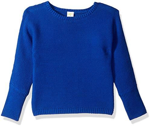 Algopix Similar Product 3 - Crazy 8 Girls Toddler Crewneck