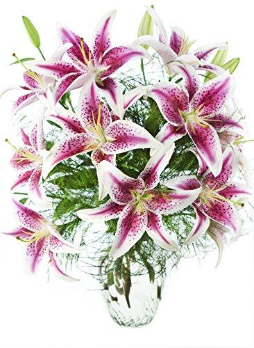 Algopix Similar Product 12 - Enchanting 10 Stargazer Lilies Bouquet