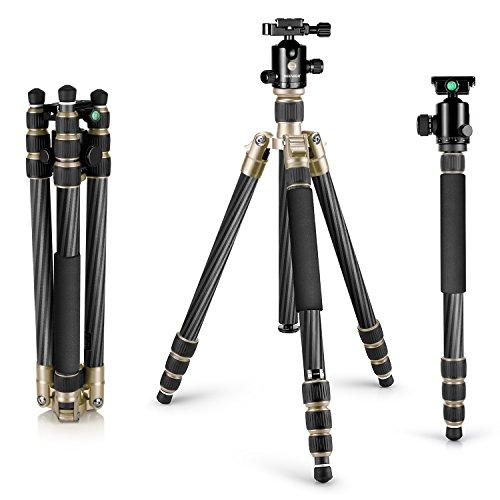 Algopix Similar Product 15 - 