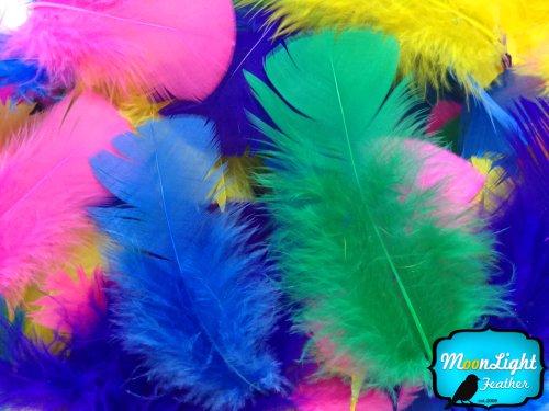 Algopix Similar Product 7 - Turkey Feathers Bulk Turkey Plumage 