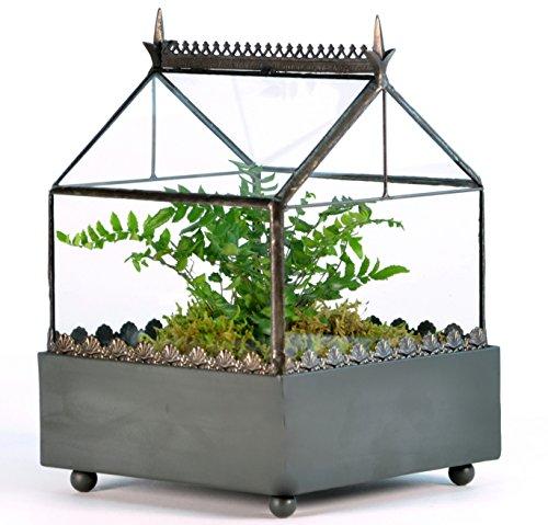 Algopix Similar Product 15 - H Potter Glass Terrarium Wardian Case 