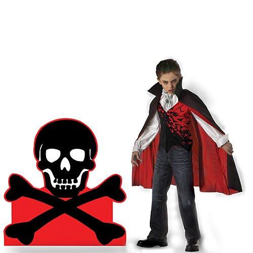 Algopix Similar Product 4 - Skull and Crossbone Standee