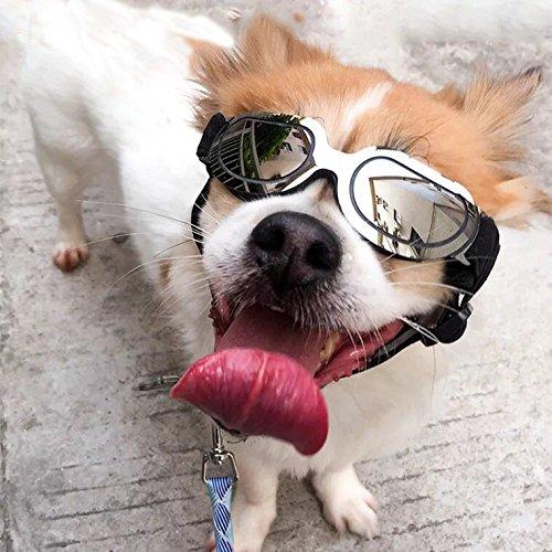 Algopix Similar Product 16 - ZYQL Pet Dog Small Sunglasses Dog