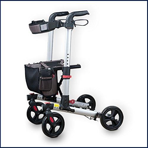 Algopix Similar Product 8 - WheelzAhead Double Foldable Track 30