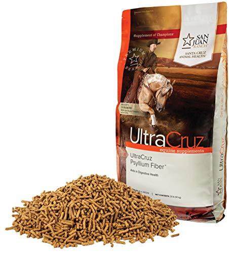 Algopix Similar Product 19 - UltraCruz Equine Psyllium Fiber