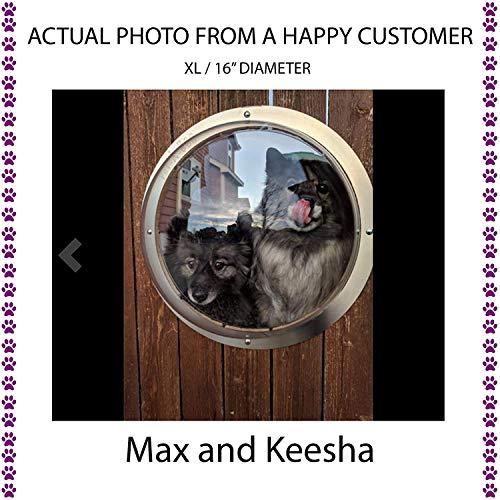 Algopix Similar Product 3 - PETABOO Pet Window Fence Acrylic