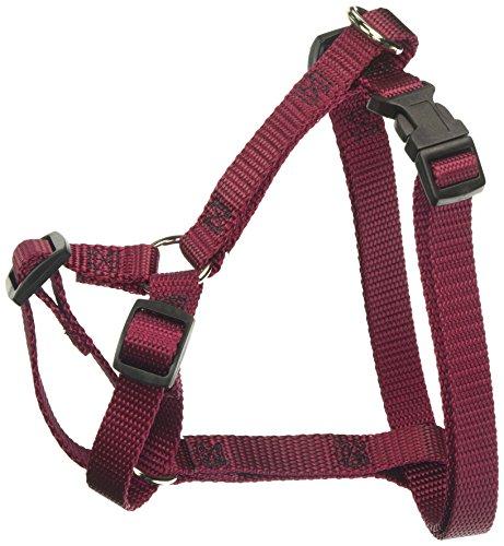 Algopix Similar Product 6 - 
